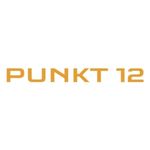 Punkt 12